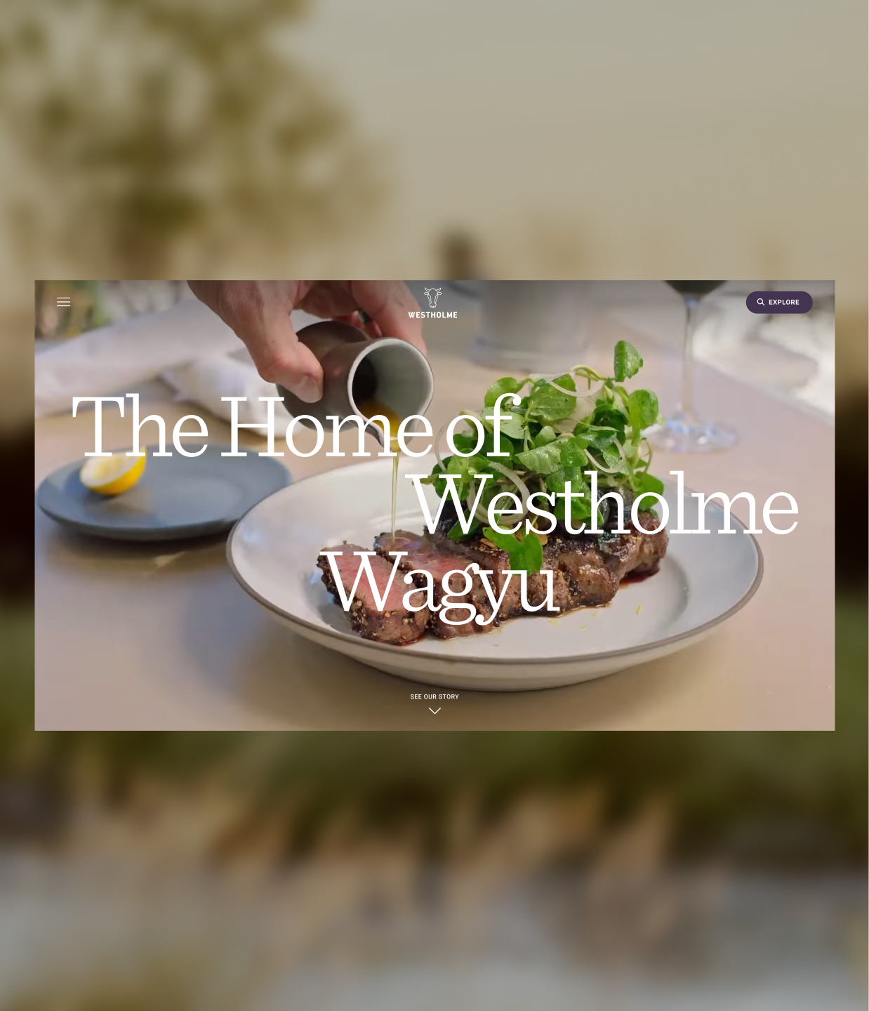 Westholme-Thumbnail-Portrait